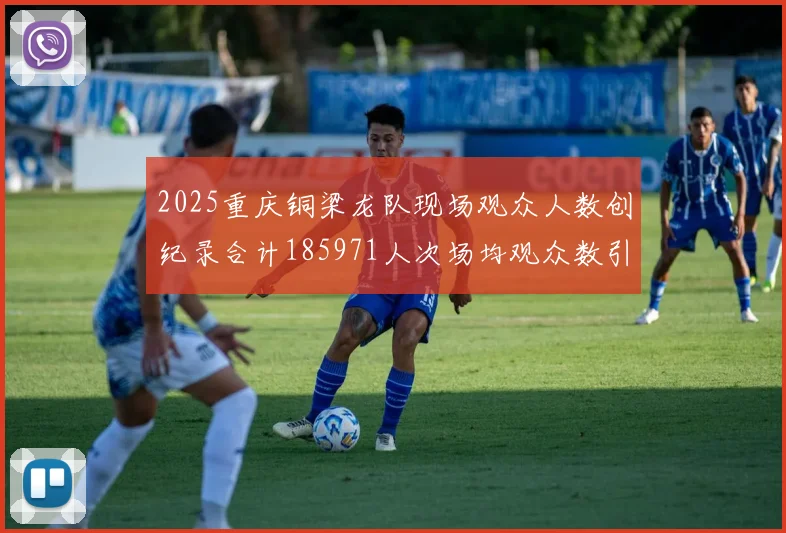 2025重庆铜梁龙队现场观众人数创纪录合计185971人次场均观众数引发热议